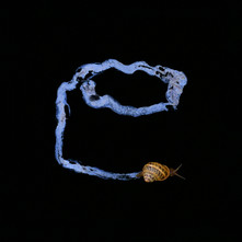 La Naissance de l’écriture