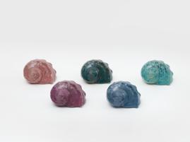 Coquilles (multiple)